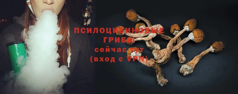 даркнет сайт  OMG ТОР  Галлюциногенные грибы Psilocybe  Белово 